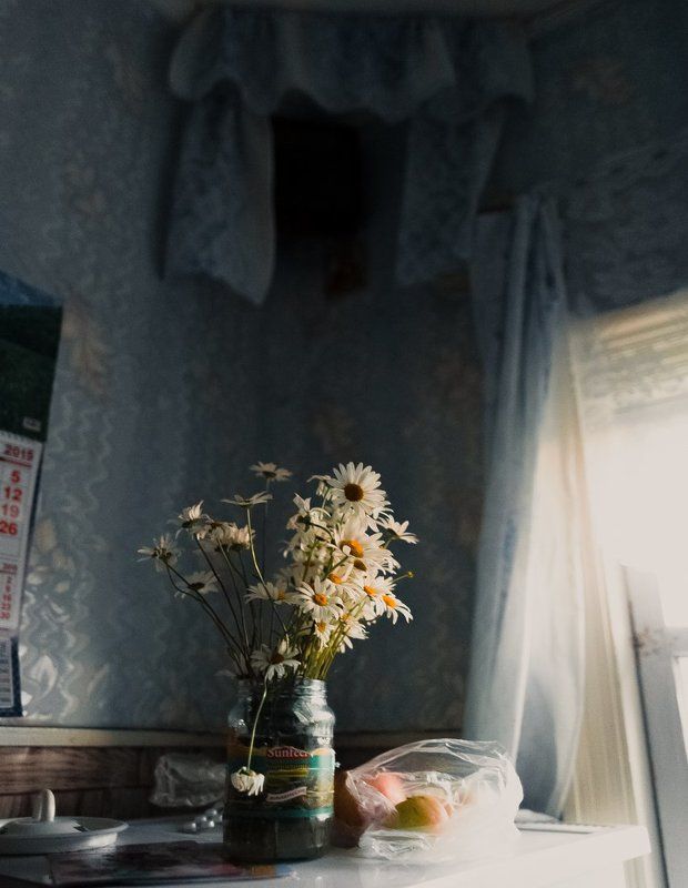 Ромашки фото превью