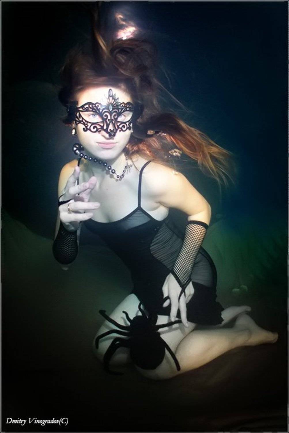 , Дмитрий Виноградов