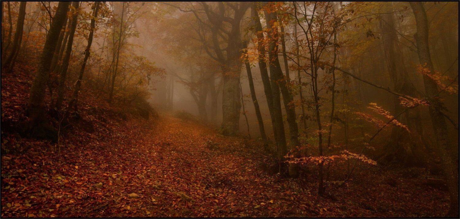 , Владимир Метцгер