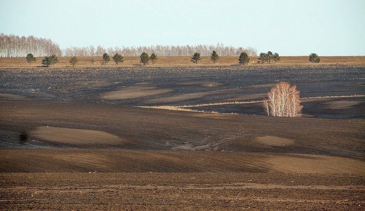 , Николай Морский