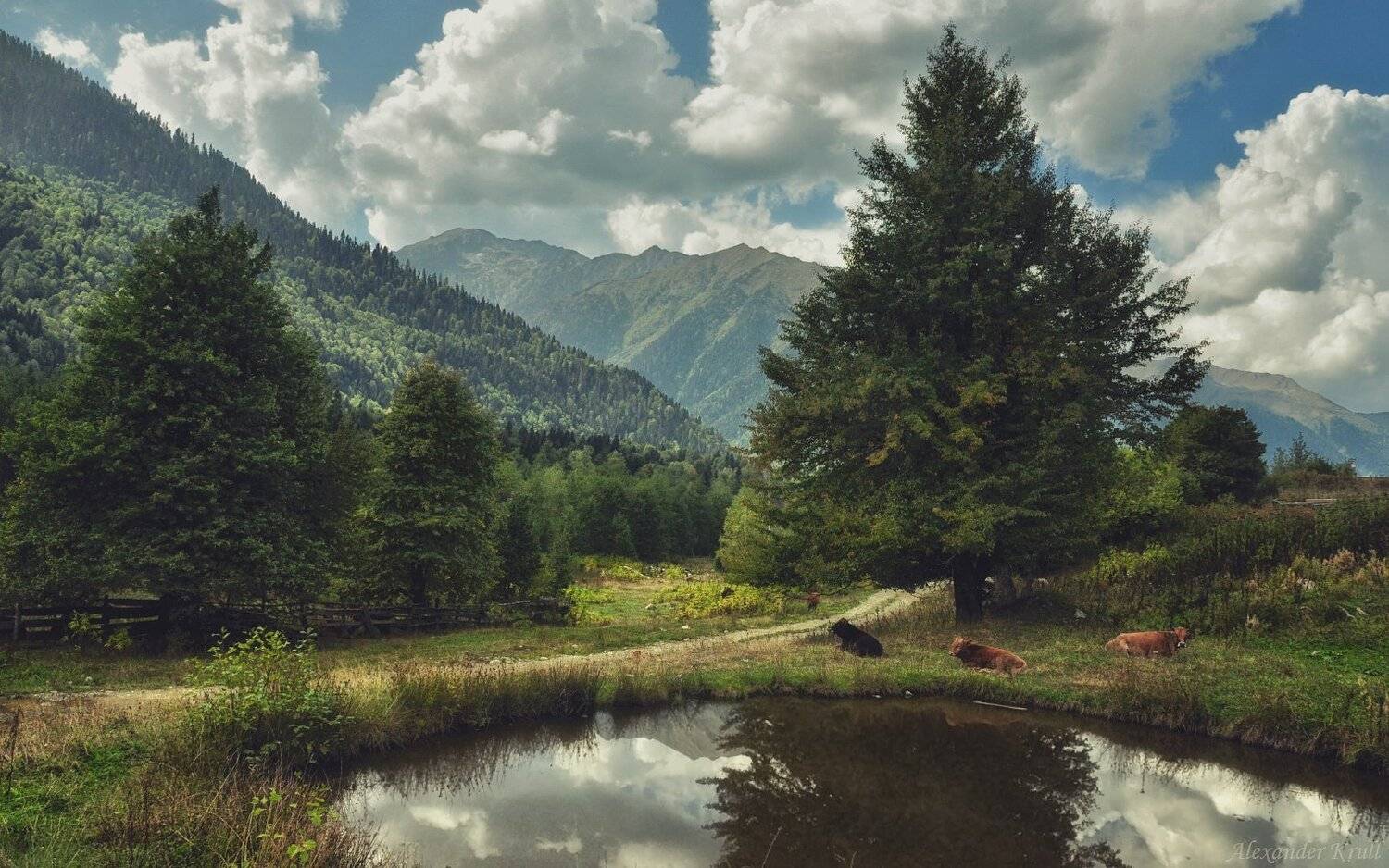 Кавказ, Кчр, Александр Круль