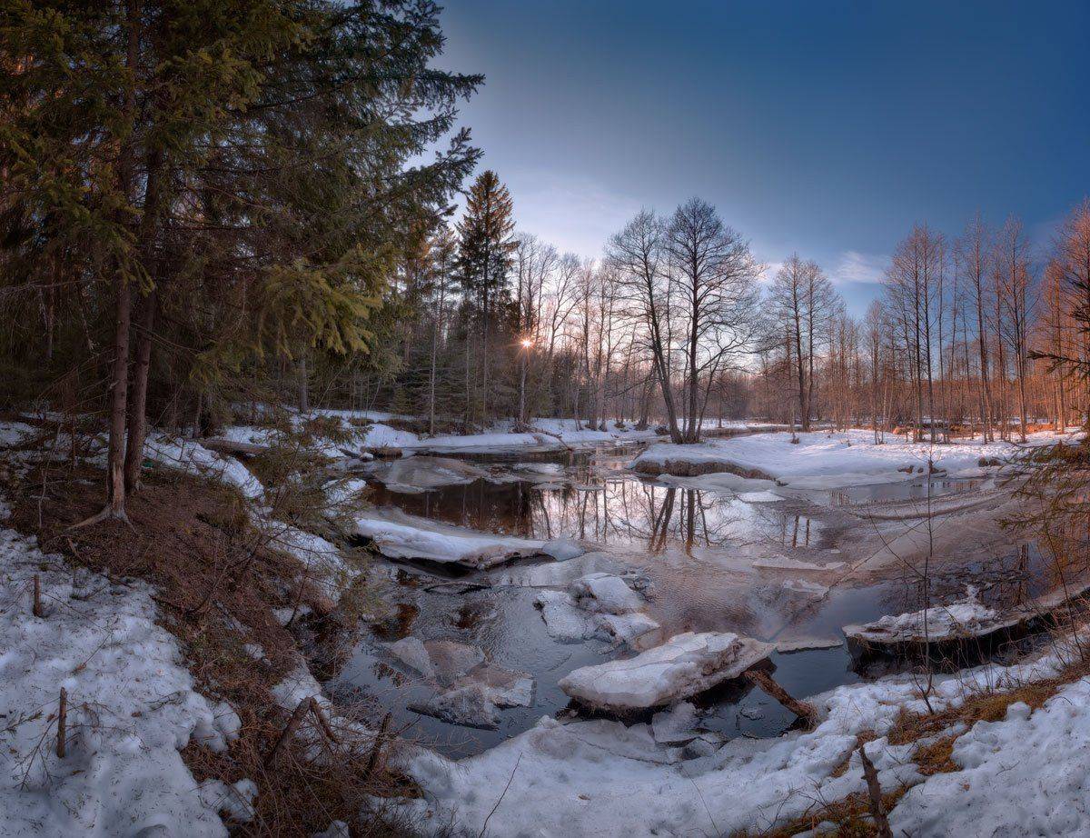 , Хохряков Николай