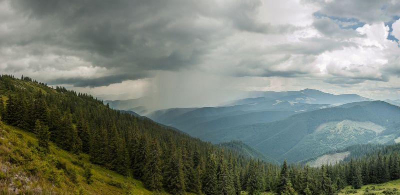 Карпаты горы лес *** фото превью