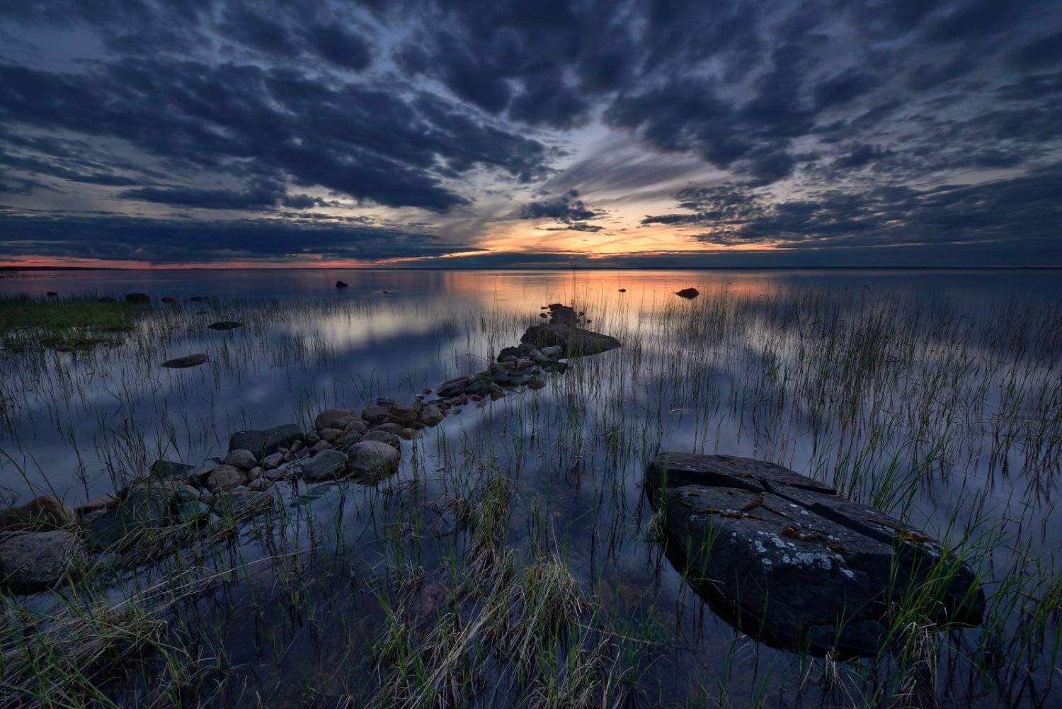, Максим Евдокимов ( www.wildphotorus.ru )