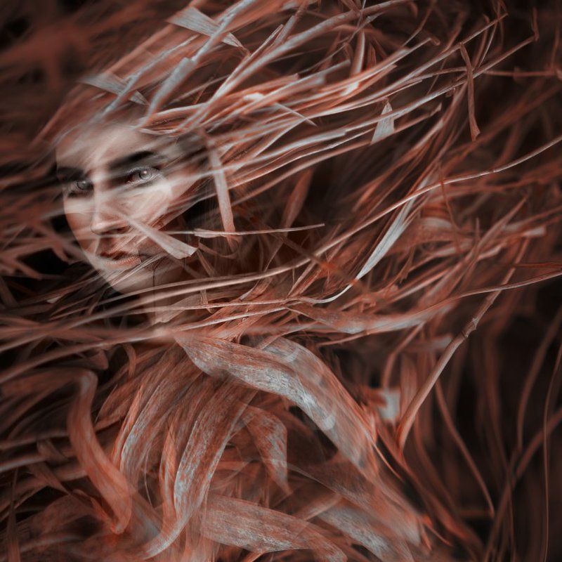 #art #nikon #85mm #abstrakt Slough фото превью