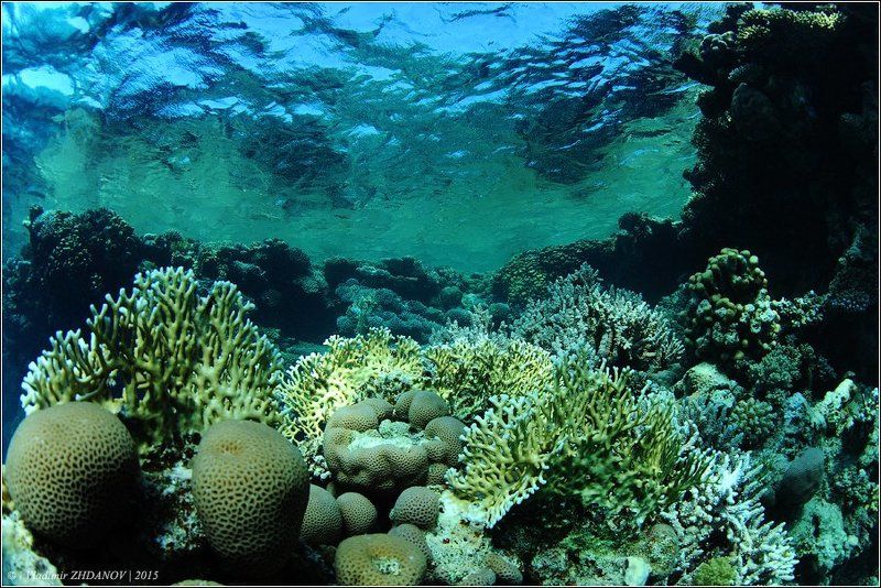 Взгляд фото превью