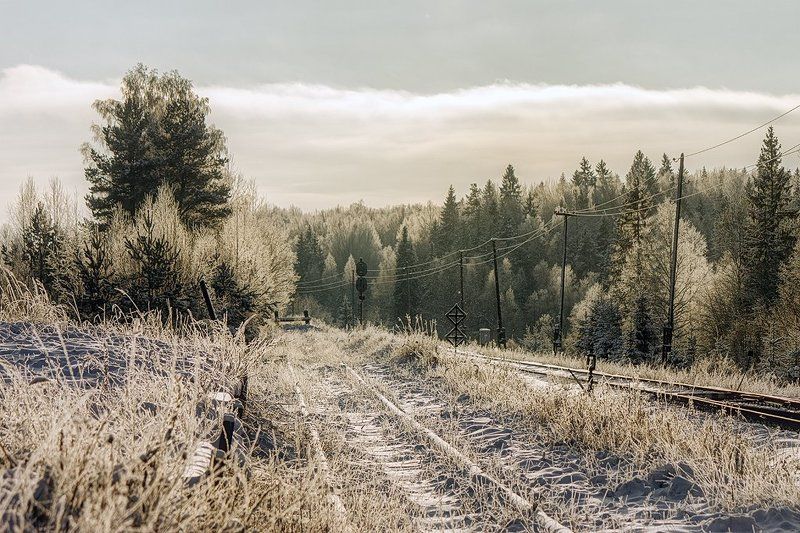 железная дорога, зима, мороз, солнце, баталино, тверская область Баталино фото превью