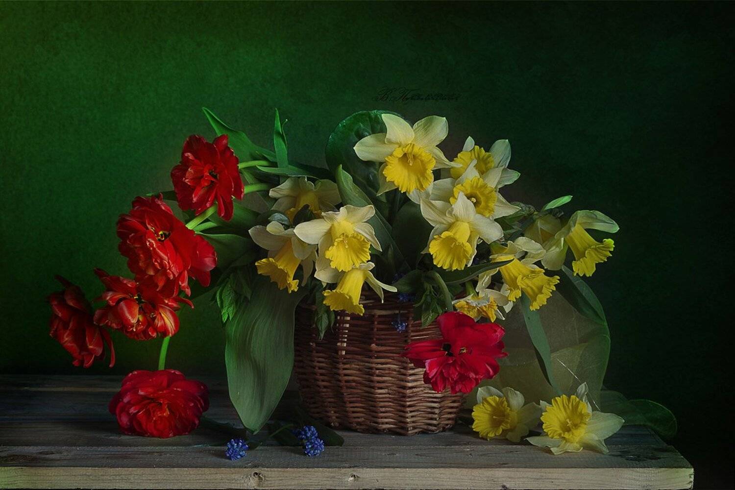 Весенние цветы, Нарциссы, Натюрморт с цветами, Тюльпаны, Вера Павлухина