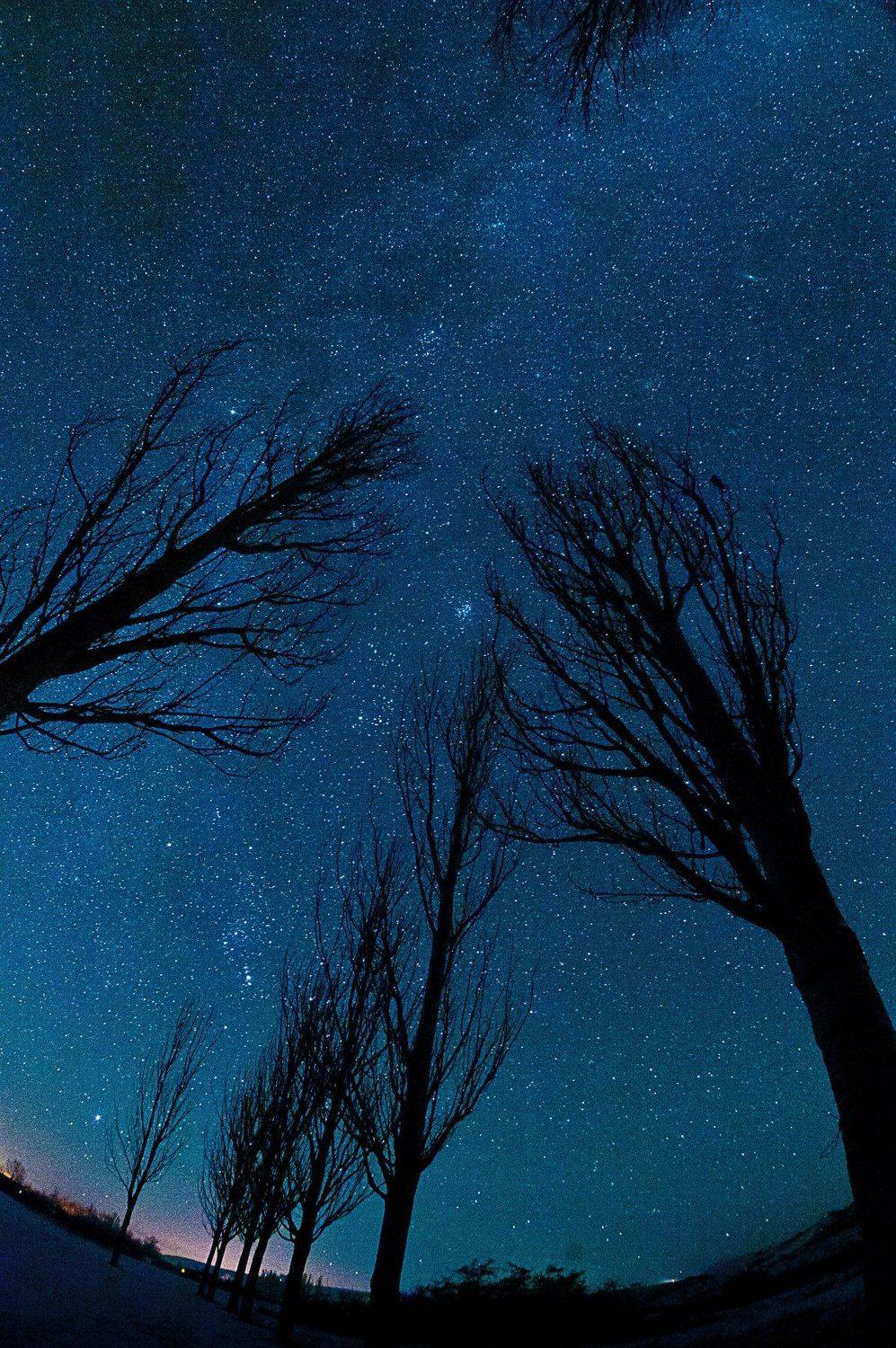 , Дмитрий Жуков