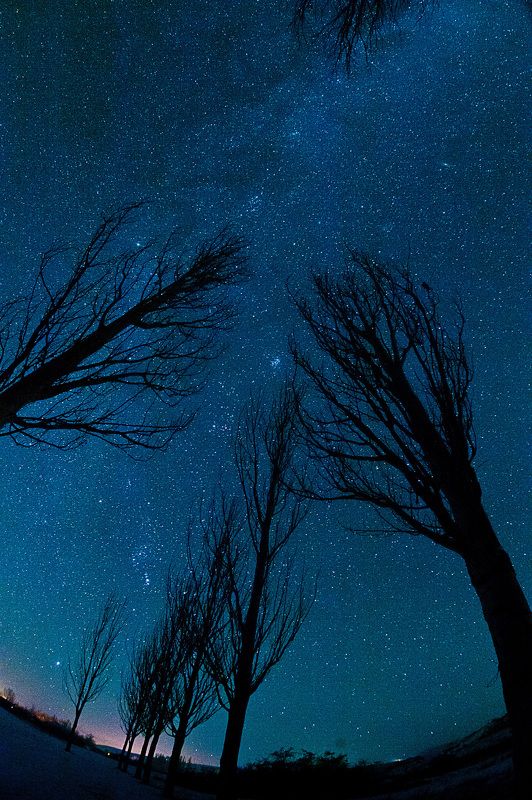 Страшные сны Иссык-Куля фото превью