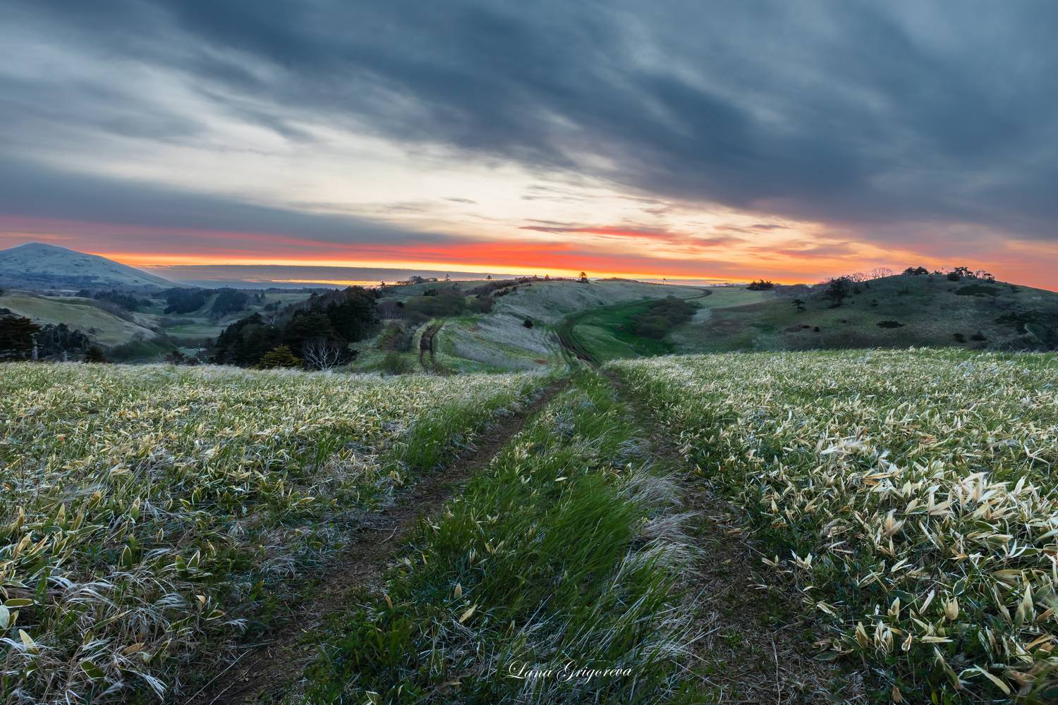 пейзаж, рассвет, курилы, 2025, лето, дороги,, Григорьева Лана