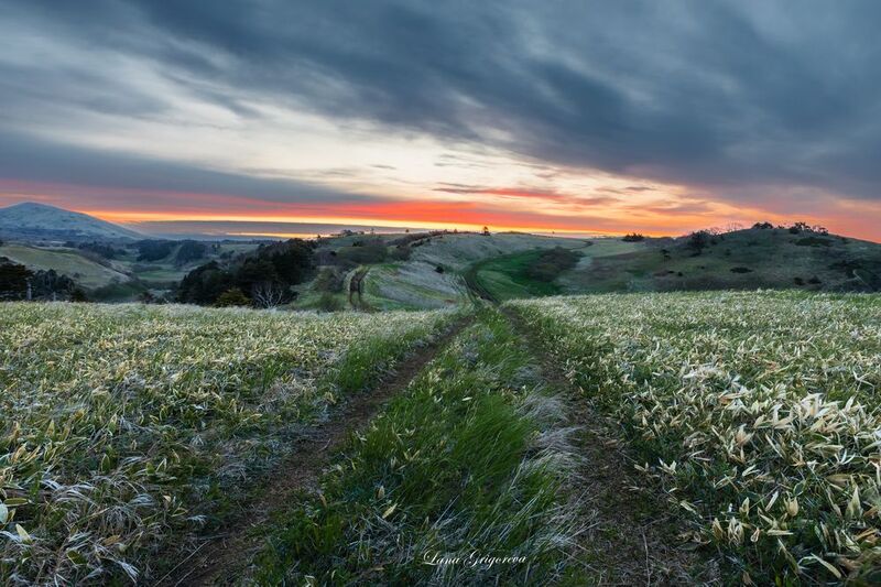 пейзаж, рассвет, курилы, 2025, лето, дороги,  фото превью