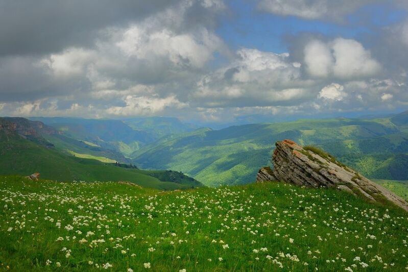 Лето в горах Кавказа,Хасаут фото превью