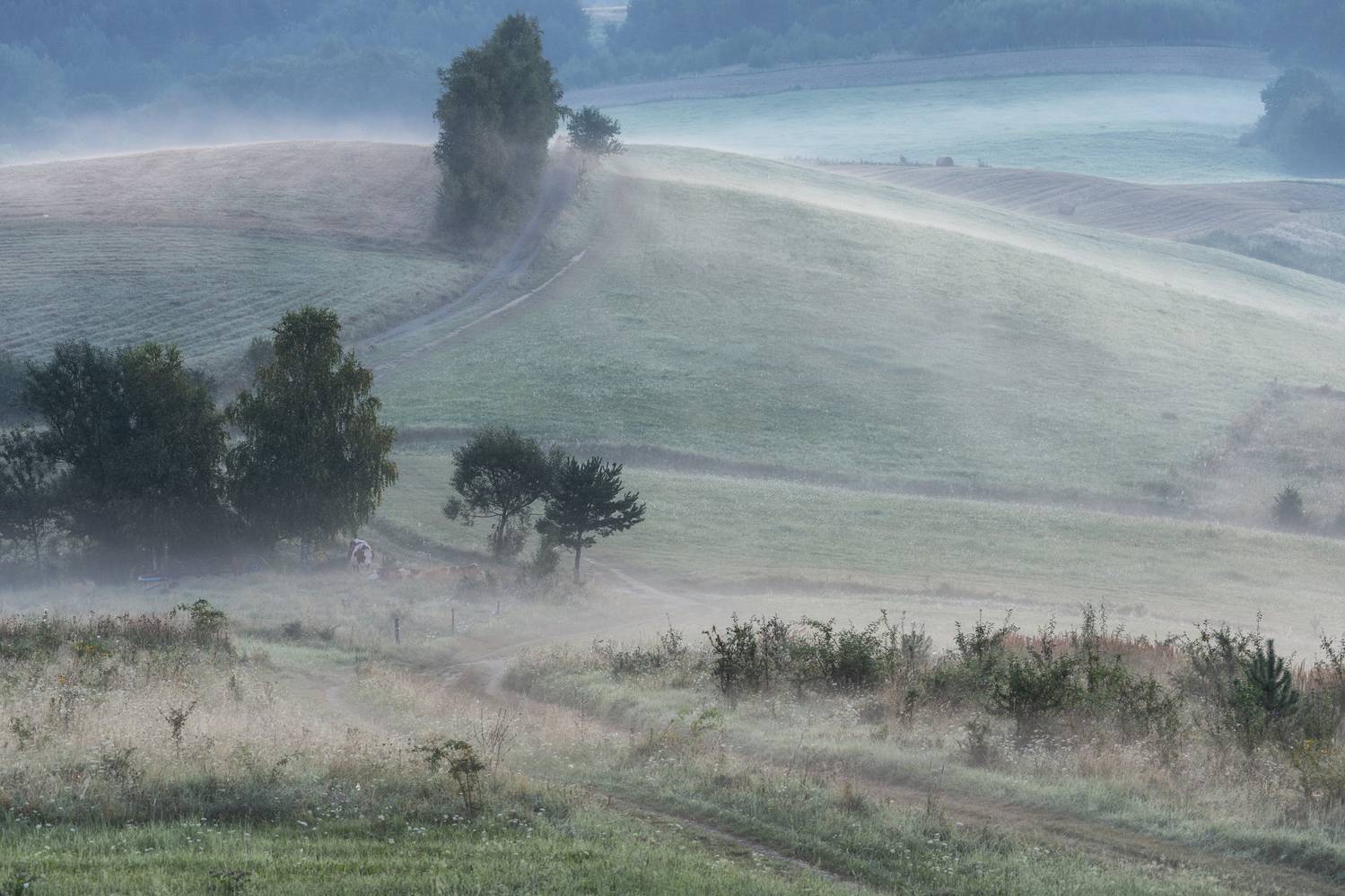 ,  Mirosław Pruchnicki