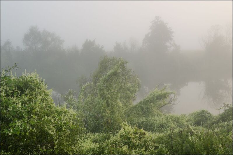 Туманное утро на Упе фото превью