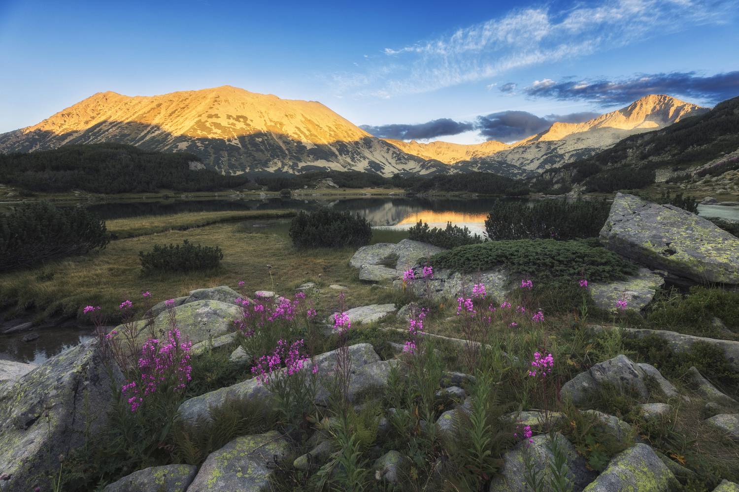 , Маджаров Костадин