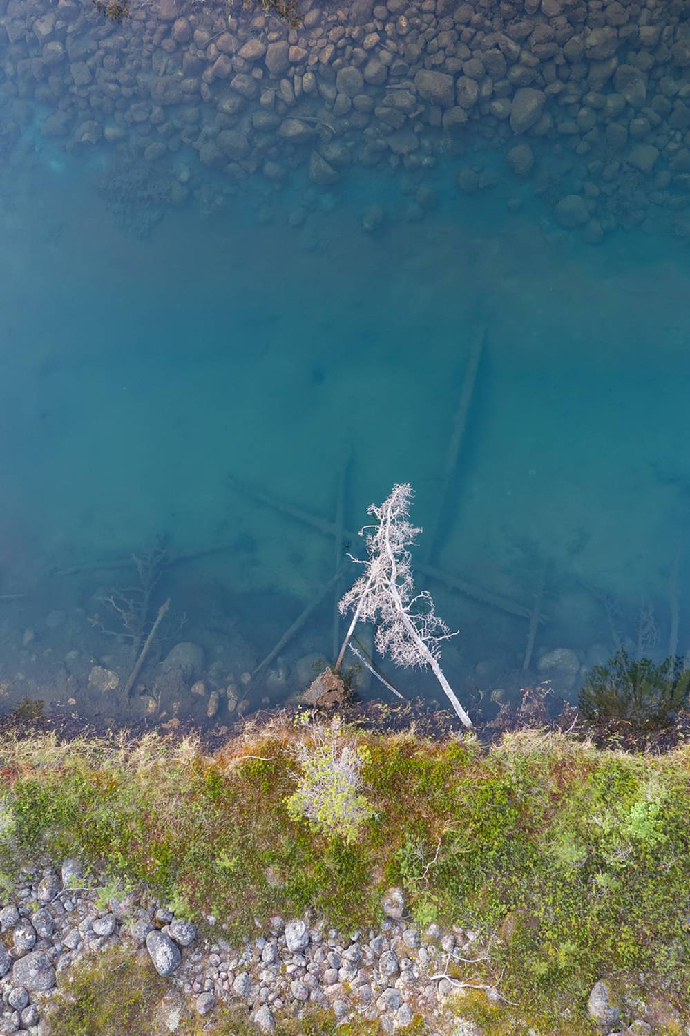 озовая гряда, тайга, ладожские шхеры, карелия, ладога, северное приладожье, сортавала, питкяранта, русский север, северная природа, северный пейзаж, пейзажи карелии, природа карелии, фототуры по карелии, фототуры по ладоге, фототур на ладожские шхеры, Уютнов Кирилл