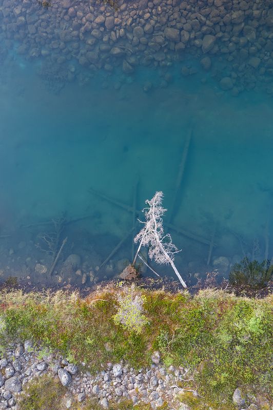 озовая гряда, тайга, ладожские шхеры, карелия, ладога, северное приладожье, сортавала, питкяранта, русский север, северная природа, северный пейзаж, пейзажи карелии, природа карелии, фототуры по карелии, фототуры по ладоге, фототур на ладожские шхеры Каменное небо фото превью