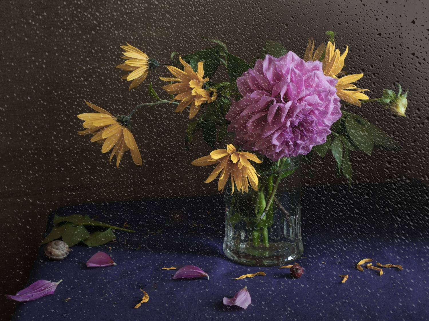 лето, георгин, дождь, Елена Колеснева