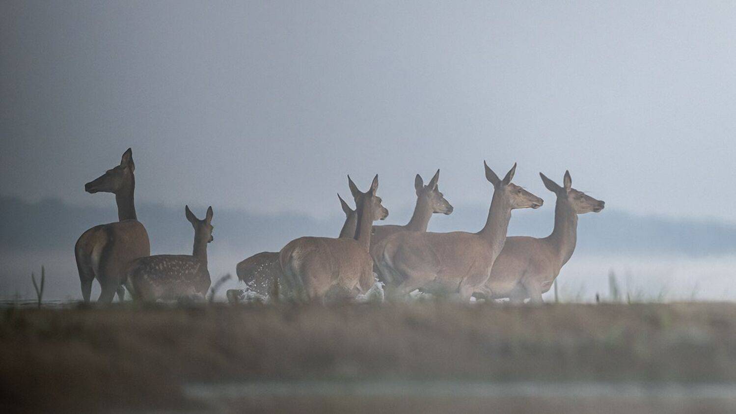 , Sławek Przybylski