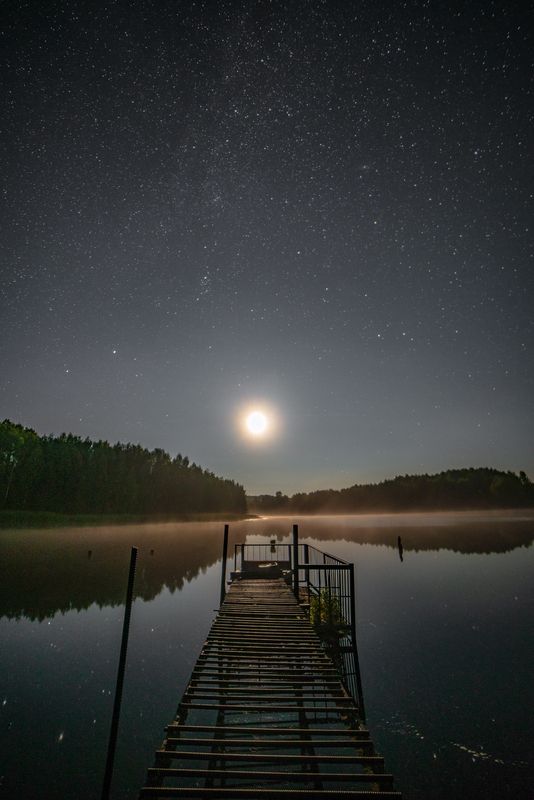 Пруд в лунном свете. фото превью