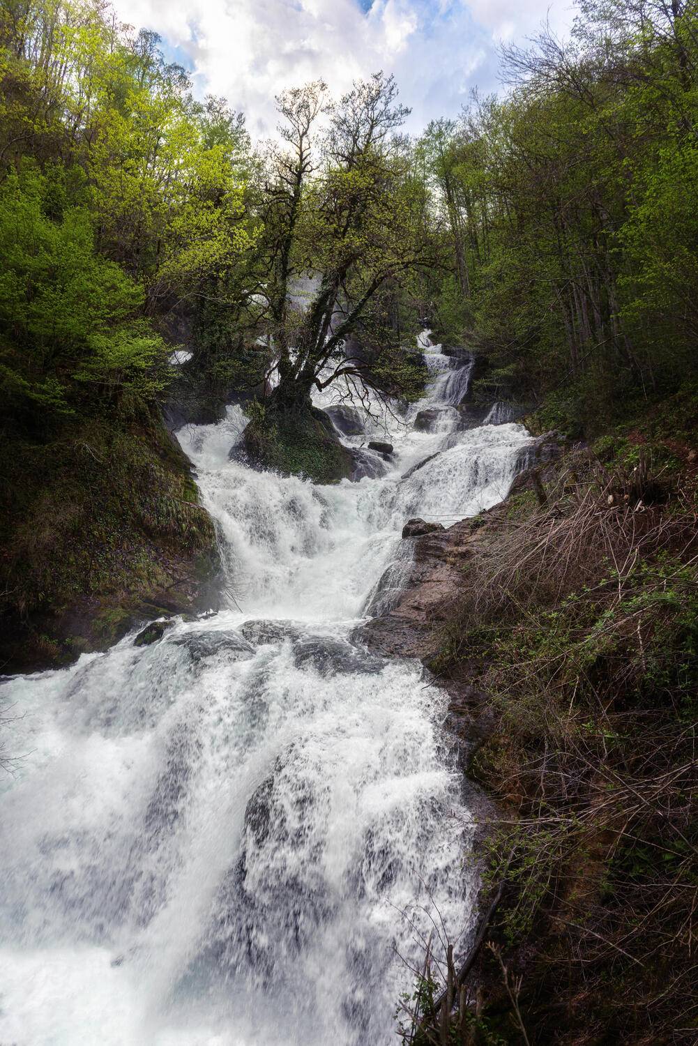 , Полина Хрол