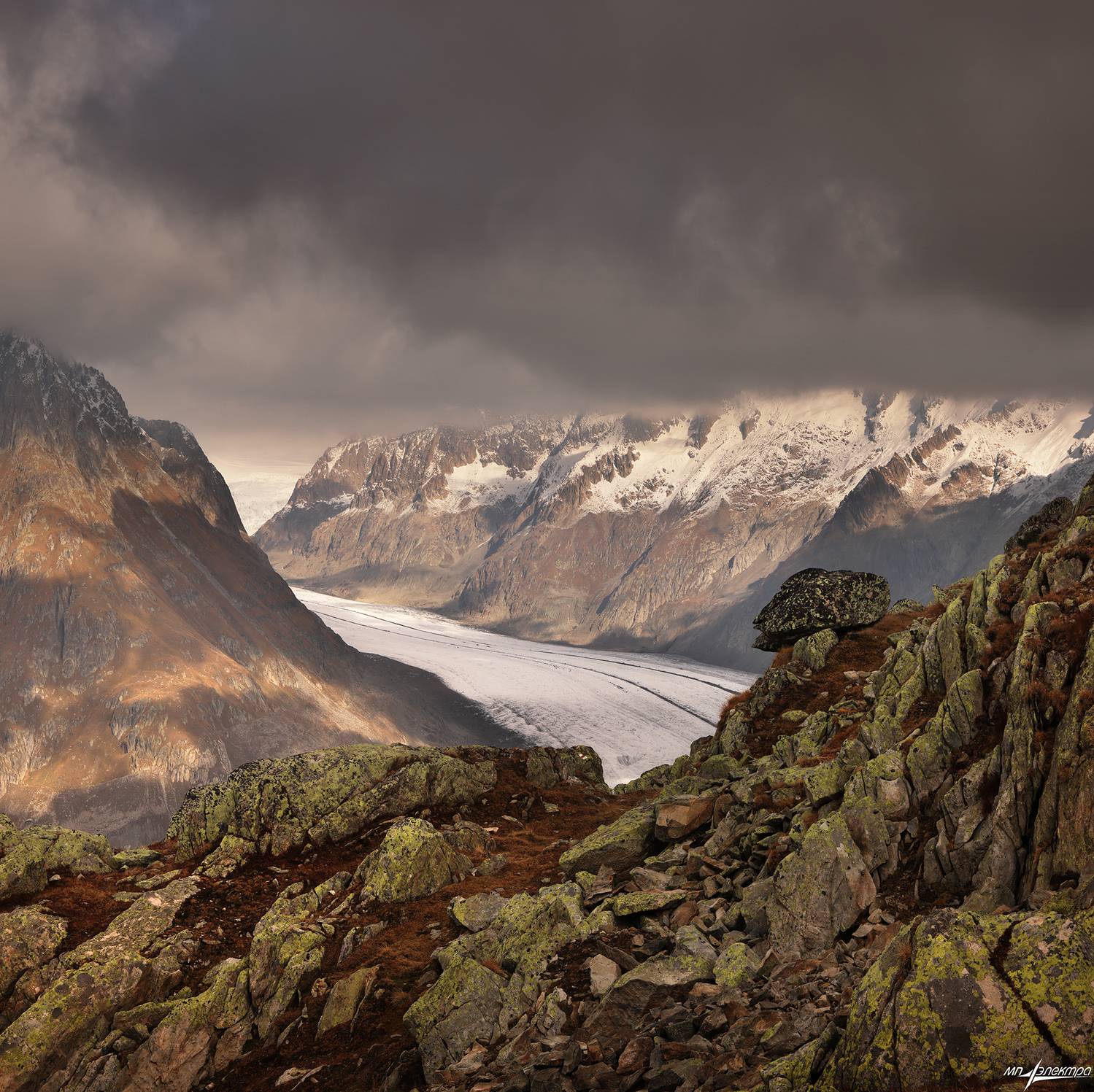 swiss, Матвеев Николай