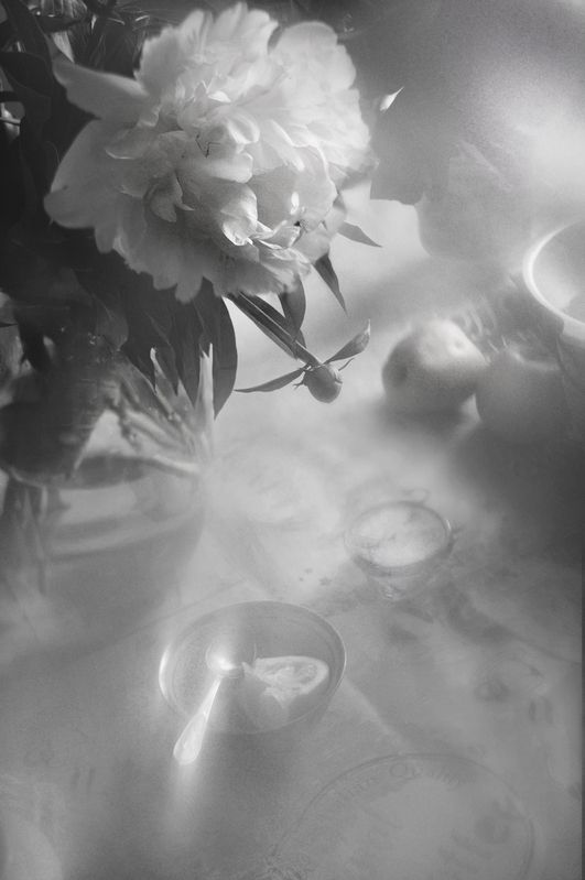 чёрно-белое, лето, пион, цветы, настроение, монохром, still life, black and white, summer spirit  Заря июньского пиона фото превью