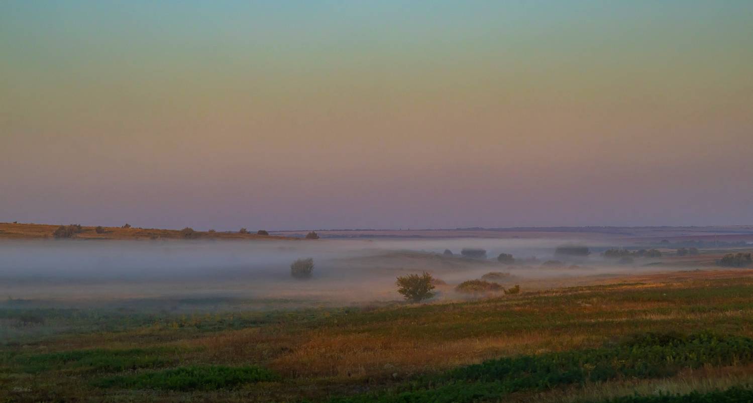 , Подосинников Максим