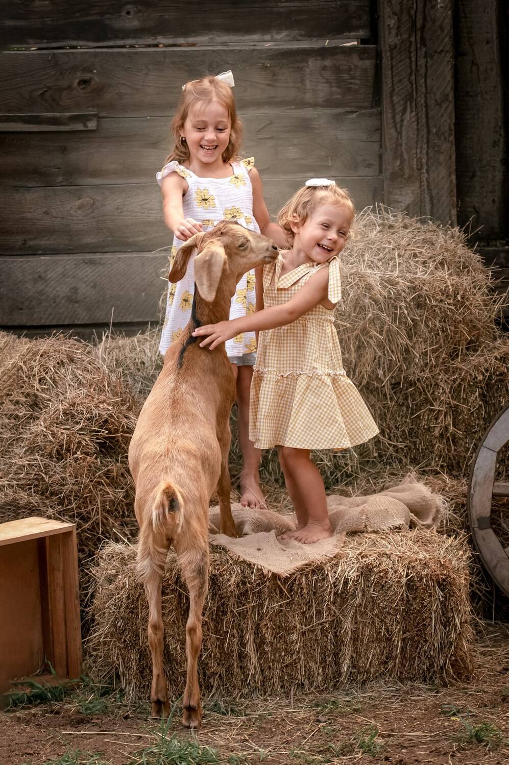 , Елена Савченкова