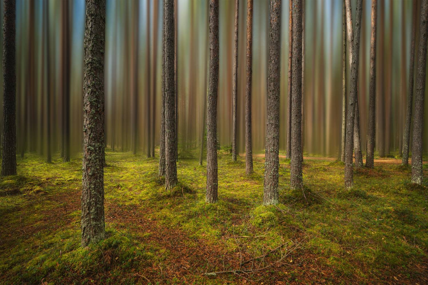 #санкт-петербург, Brouer Alexey