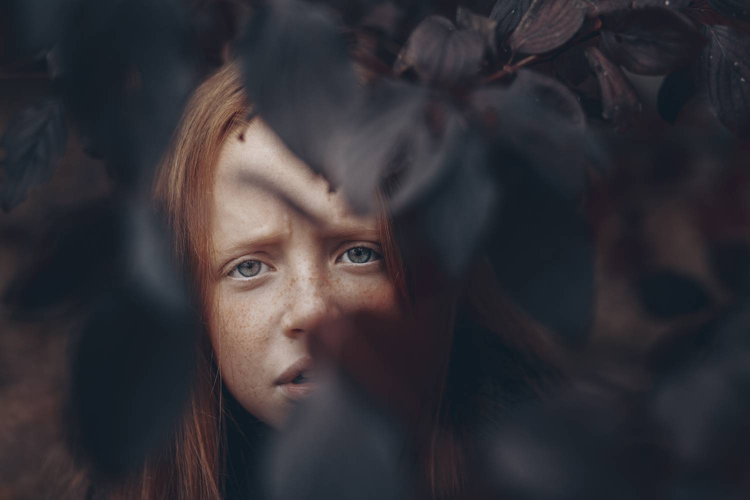 35mm, 4x5, 6x6, 6х6, 85mm, Art, Artnude, Ballerina, Ballet, Battur, Beautiful, Beauty, Canon, Canon 5D Mark III, Car, Color, Dance, Dress, Emotion, Eyes, Face, Flowers, Ganzo, Genre, GirlHair, Hero,LightLilac, Model, Mongol, Mongolia, Вероника Гергерт