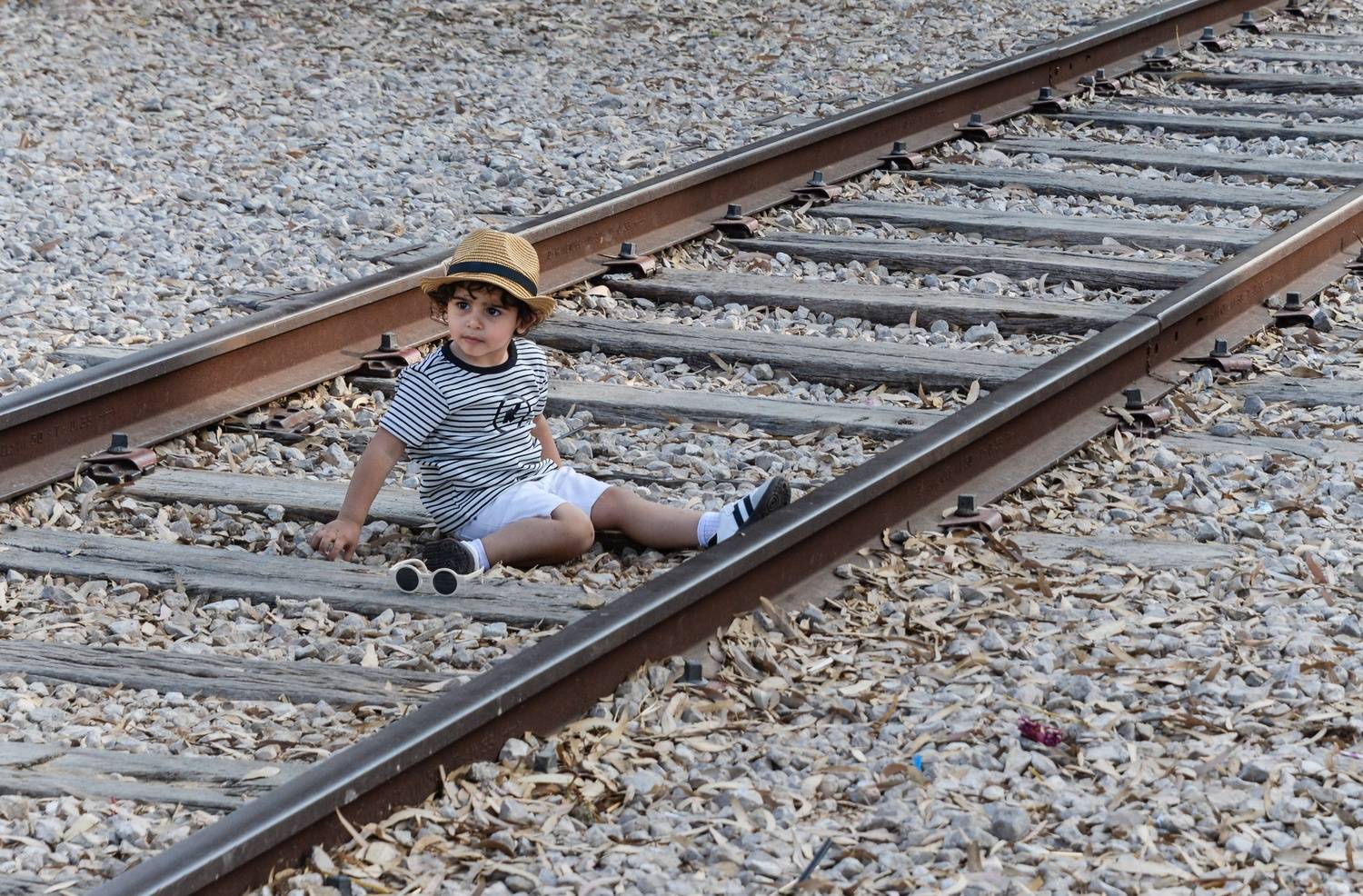 , Vladimir Bragilevsky