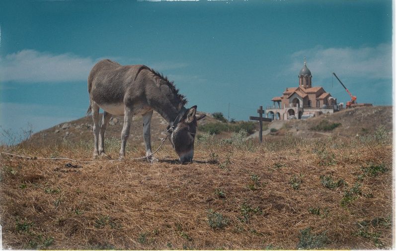 Сцена из сельского лета. фото превью