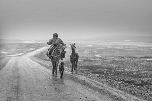 В горах Тянь-Шаня