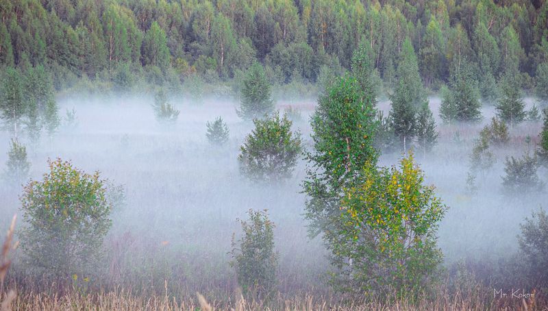 Дыхание осени фото превью