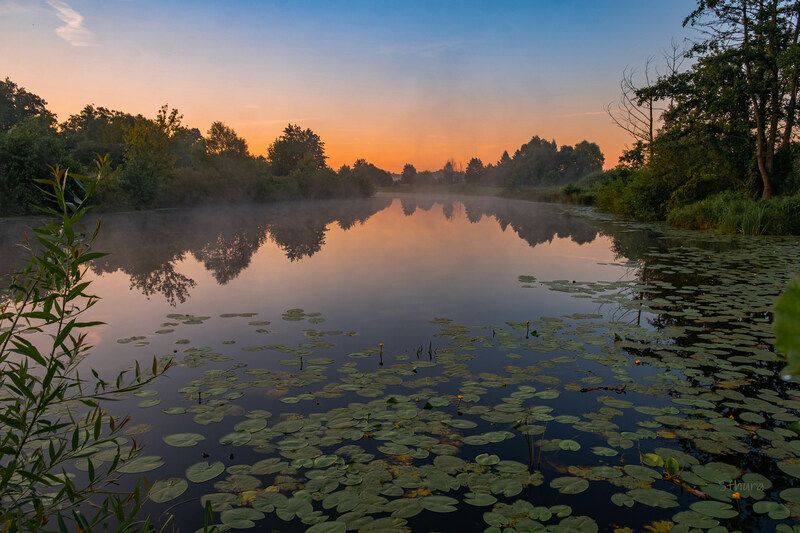Утром. фото превью