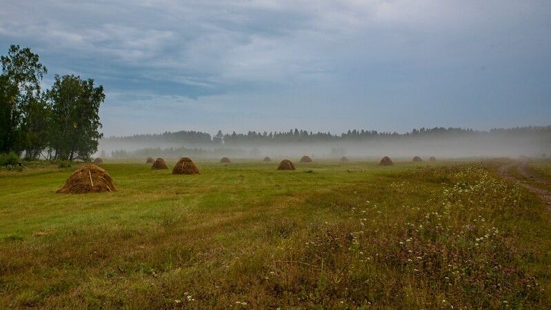 Тихое утро фото превью