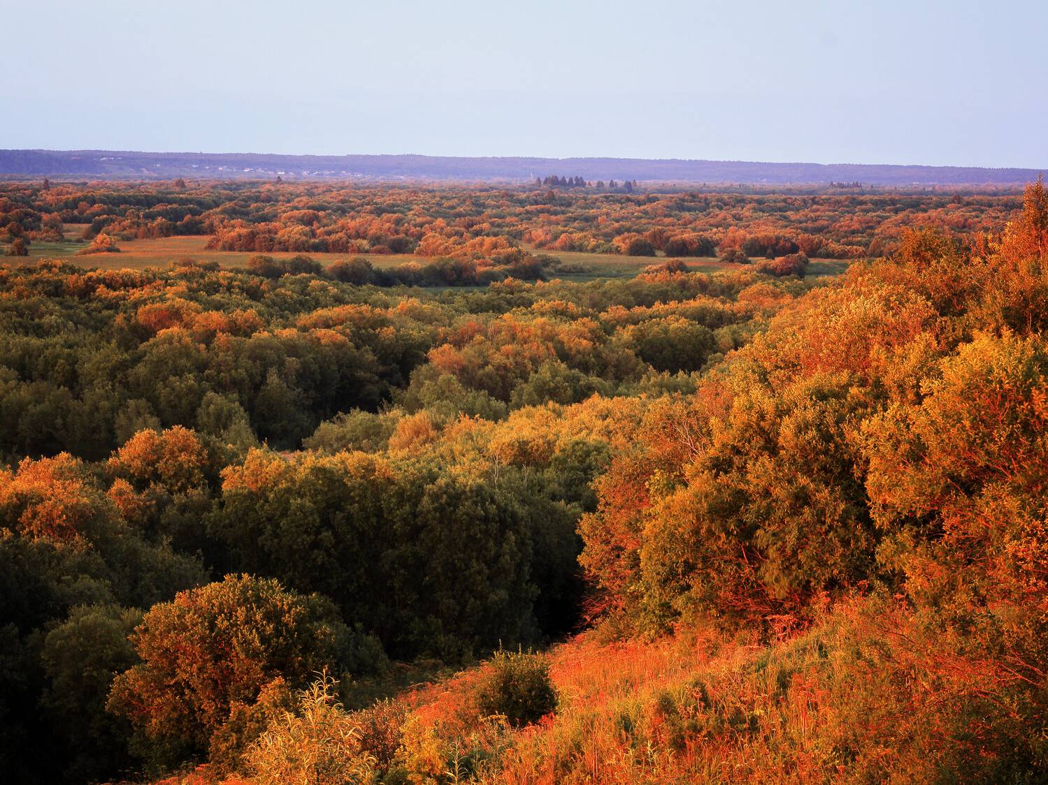 , Александр Титов