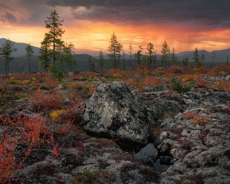 На Джеке идут дожди фото превью