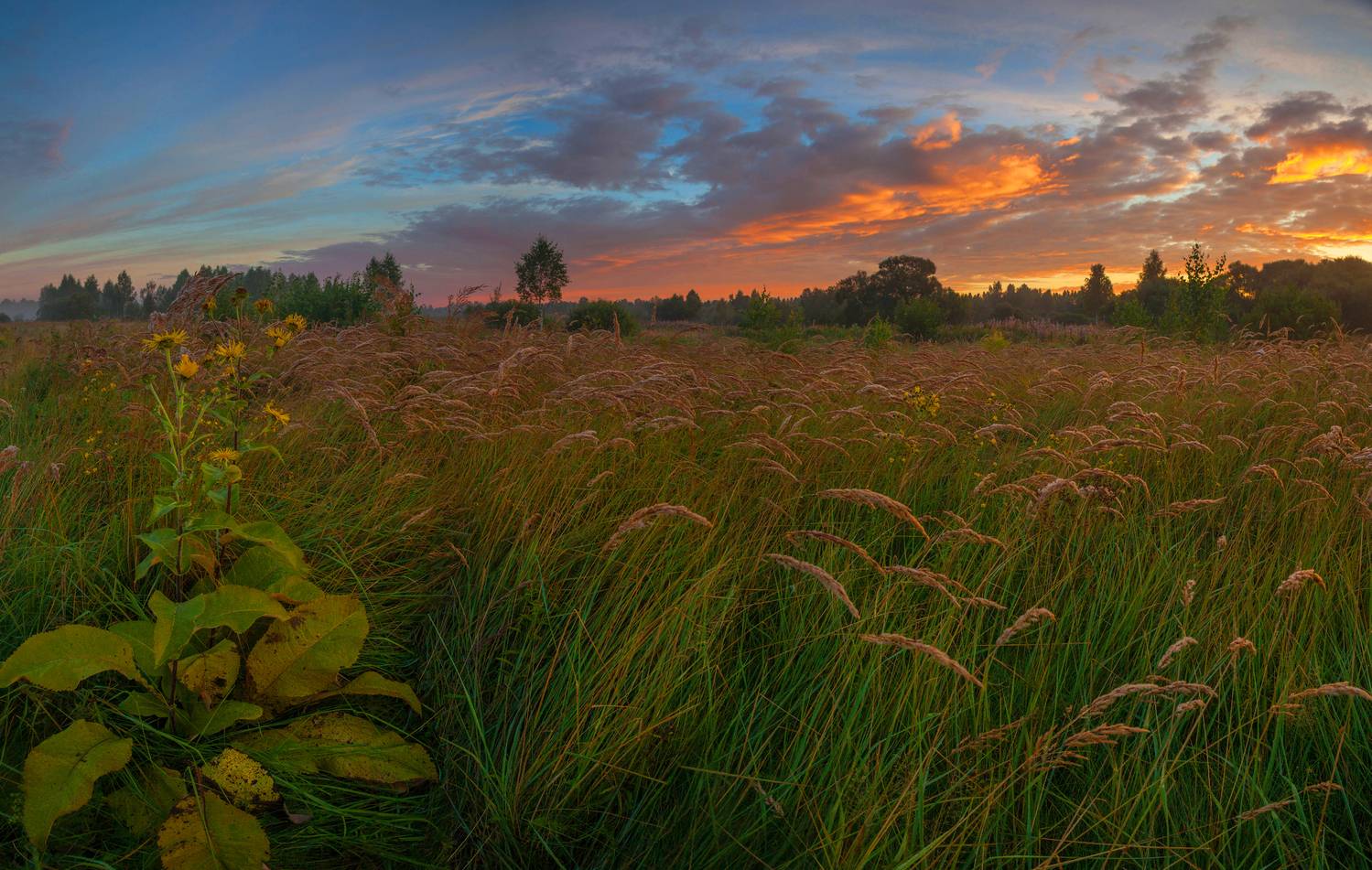 поле, рассвет , облака, Свистков Александр