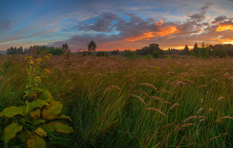 поле, рассвет , облака  фото превью