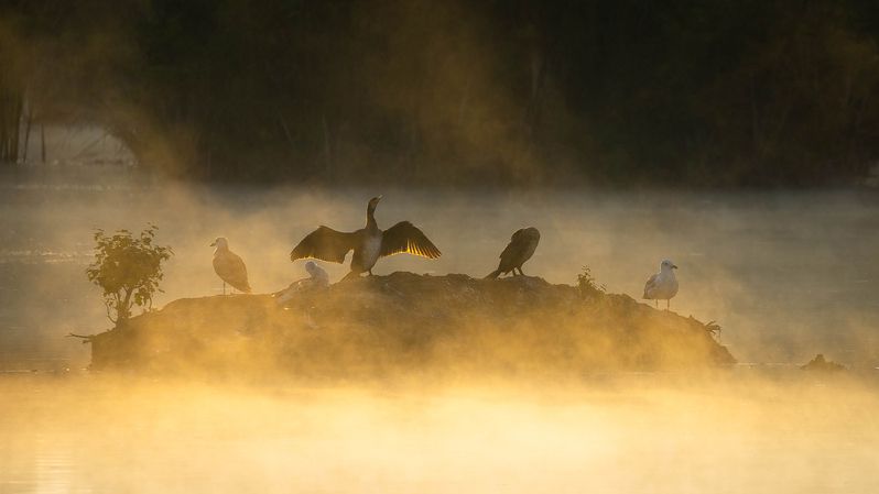 Утро фото превью