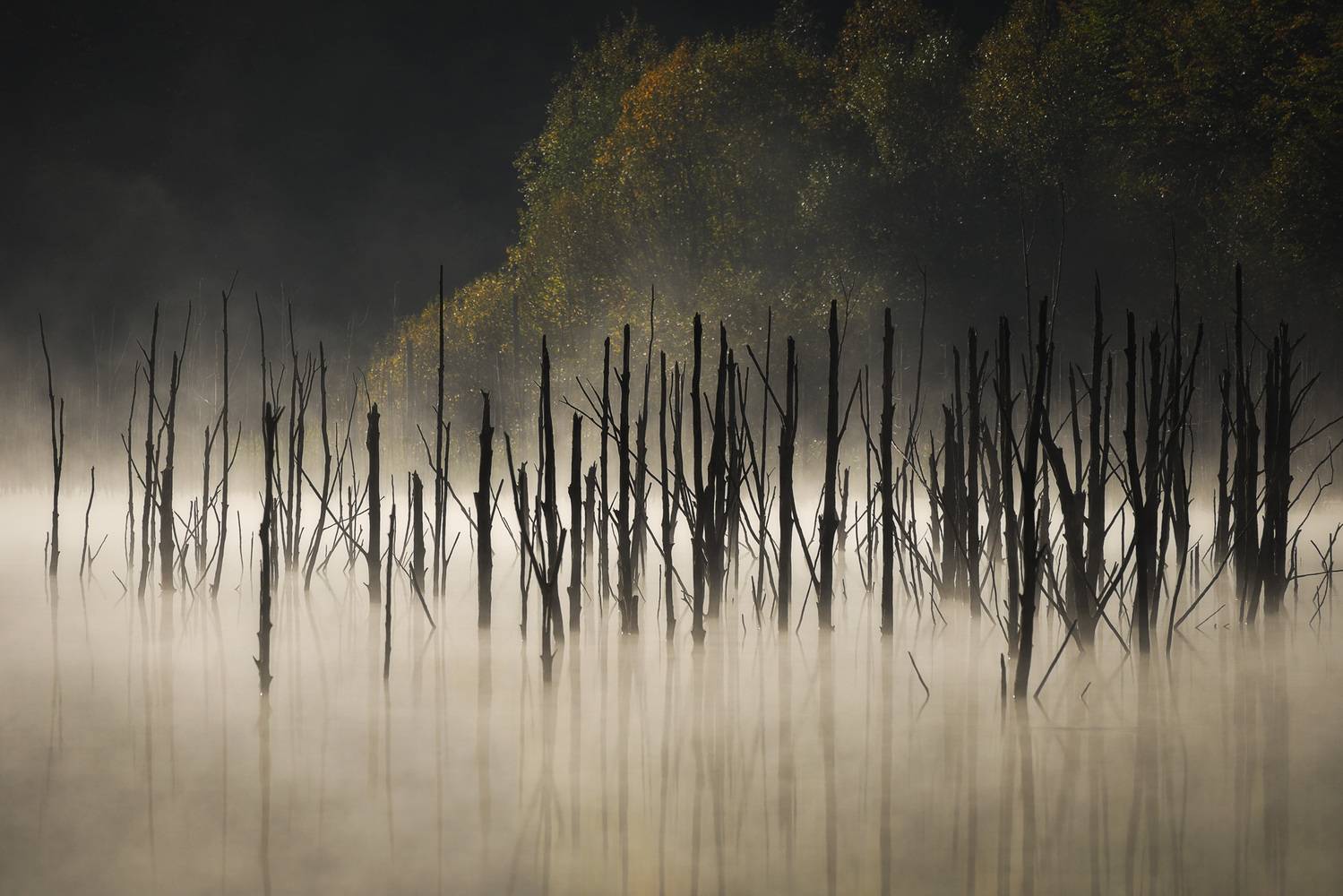 , Stefan Chirobocea