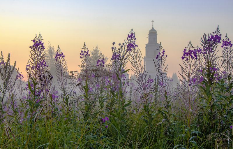 утро, туман, ива-чай, Великорецкое, Кировская область Утро туманное фото превью