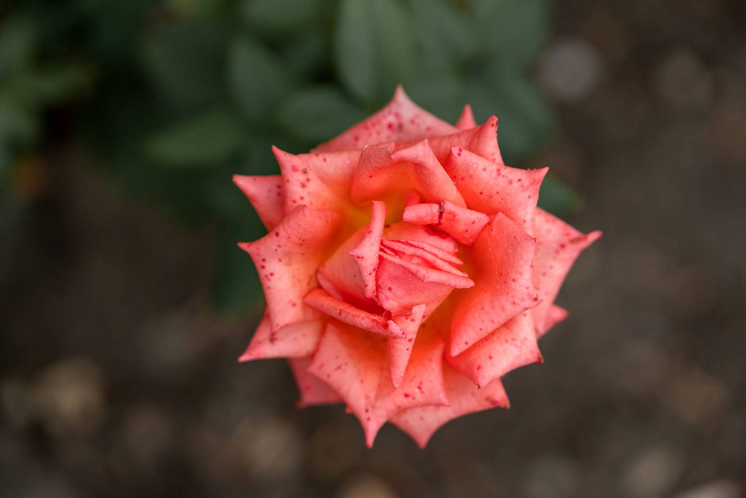 , Завьялова Людмила