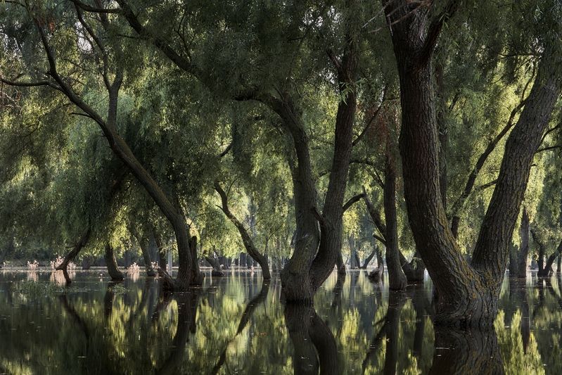 Наводнение фото превью