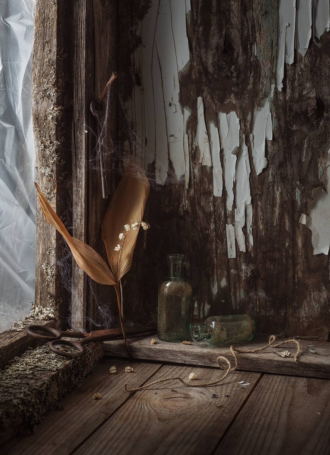 , Наталья Кабачек