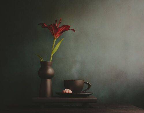 Гармония и созерцание..