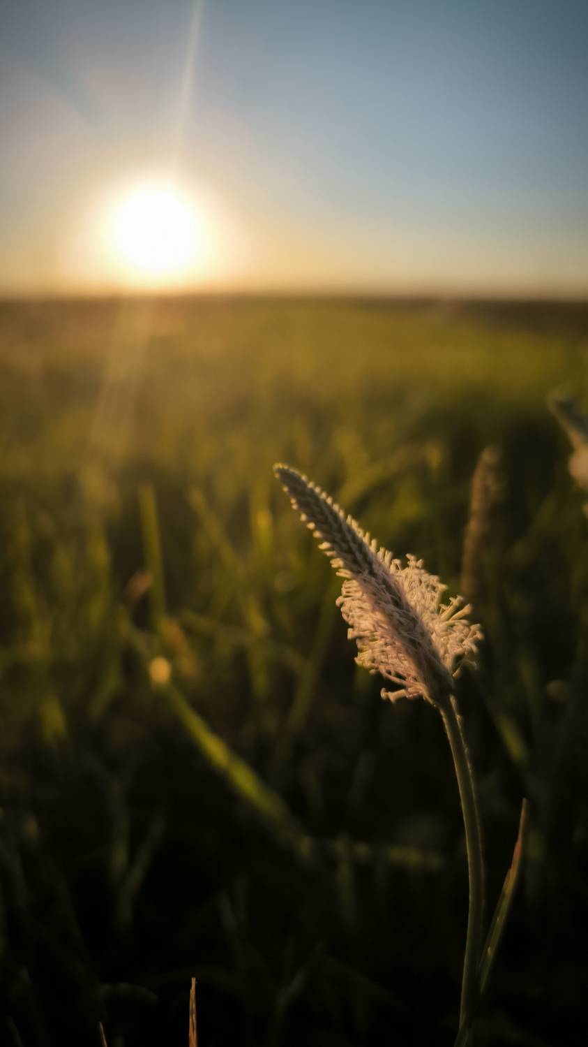 закат пейзаж, Лариса Белякова